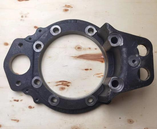 Brake Carrier Plate DZ9100440032