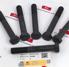 六角头螺栓 Q151B16110TF2 缩略图 1