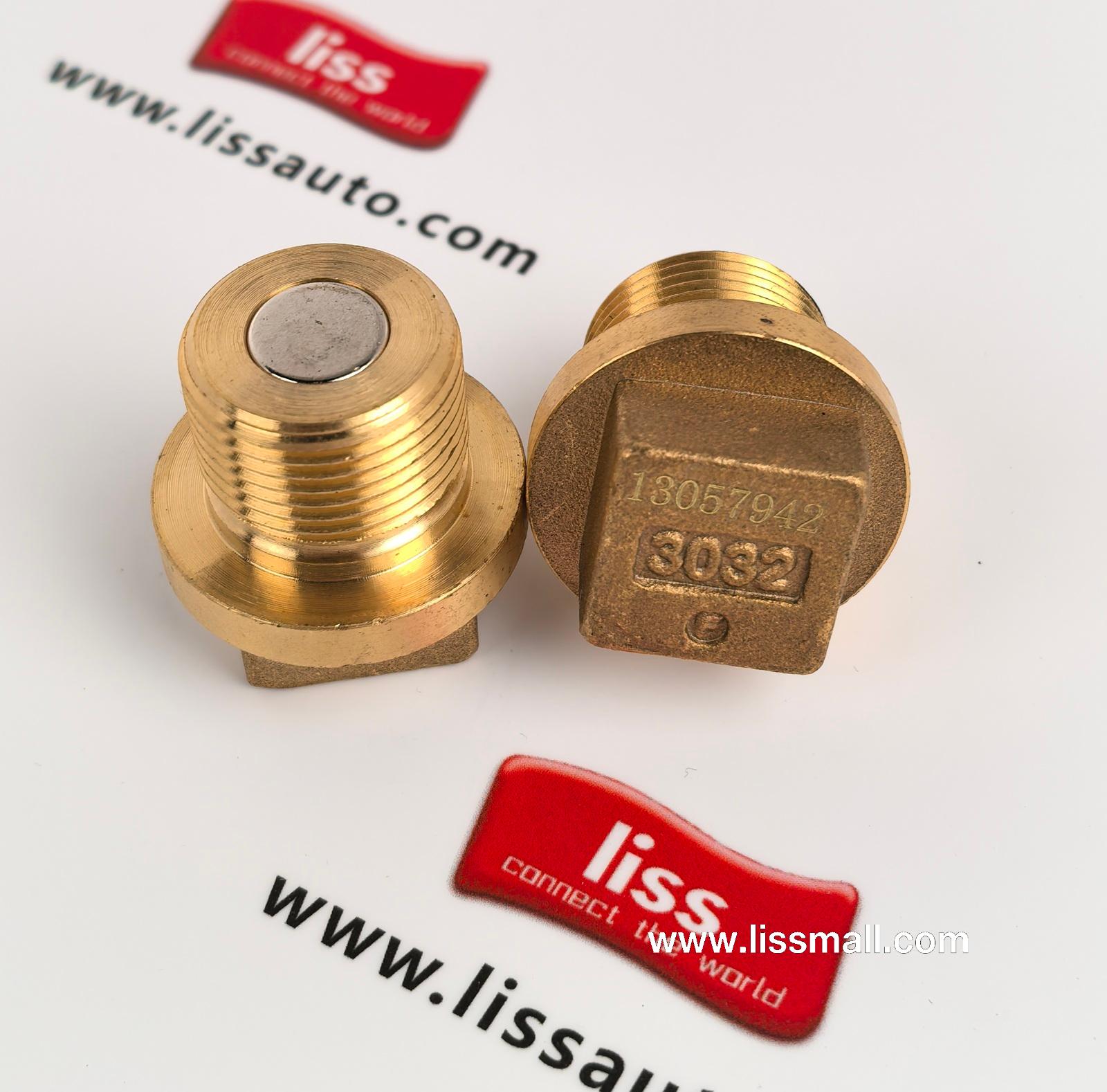 Magnetic plug assembly 13057942