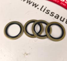 Combined sealing washer 13023363 thumbnail 1