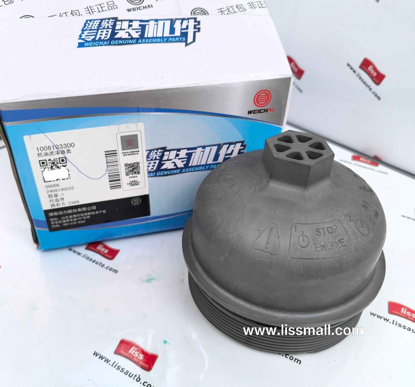 Oil filter cover 1006103300
