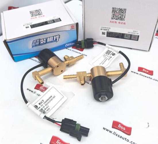 Exhaust gas control valve 1000083008