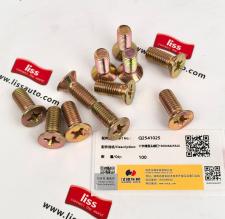 Cross Recessed Pan Head Screw 190003825520 Q2541025 thumbnail 1