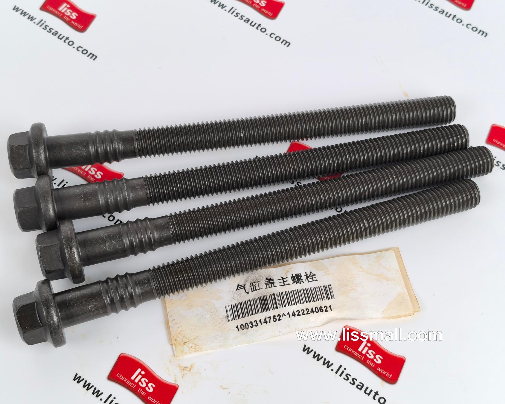 Cylinder head bolts 1003314752