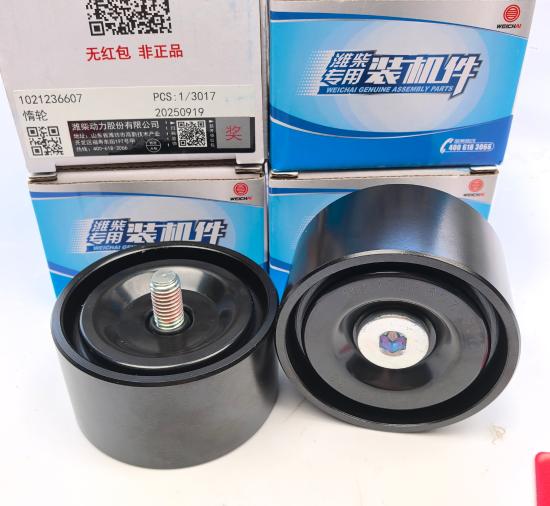Idler pulley 1021236607