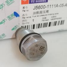 Fuel Rail Pressure Relief Valve J5600-1111A-05-A38 BOSCH 1110010028 for YUCHAI thumbnail 2